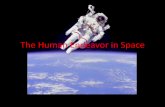 The Human Endeavor in Space