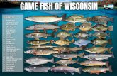 GAME FISH OF WISCONSIN