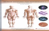 HUMAN ANATOMY AND PHYSIOLOGY 1 Laboratory Manual …