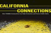 California Connections: How Wildlife Connectivity Can ...