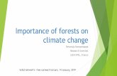Importance of forests on climate change