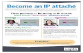 Become an IP attaché
