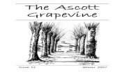 The Ascott Grapevine
