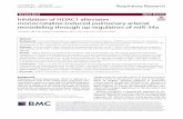 Inhibition of HDAC1 alleviates monocrotaline-induced ...