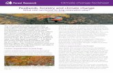 Climate change factsheet: Peatlands, Forestry and Climate ...