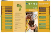 African Institute for Remittances - World Bank