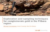 Exploration and sampling techniques for conglomerate gold ...