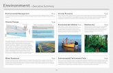 Environment ––Executive Summary