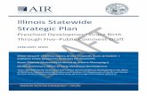 Illinois Statewide Strategic Plan