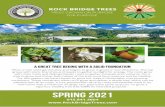 SPRING 2021 - Rock Bridges Trees