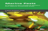 Marine Pests - parks.vic.gov.au