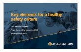 Key elements for a healthy safety culture