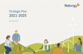 Naturgy Strategic Plan 2021-2025