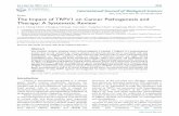 Review The Impact of TRPV1 on Cancer Pathogenesis and ...