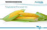Sweetcorn - .NET Framework