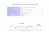 MATRIZ DE COMPETENCIAS - SCOPE project