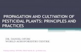 Principles of Propagation and Cultivation of Pesticidal Plants