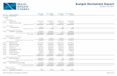 Budget Worksheet Report