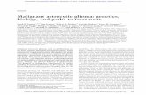 Malignant astrocytic glioma: genetics, biology, and paths ...
