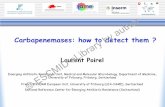 author Carbapenemases: how to detect them ? eLibrary by