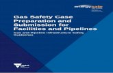 Gas Safety Case Preparation and Submission for Facilities ...