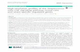 High-resolution profiles of the Streptococcus mitis CSP ...