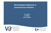 Microbiological Diagnosis of pneumococcal infections