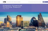 Interim Financial Stability Report May 2020
