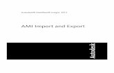 AMI Import and Export