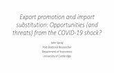 Export promotion and import substitution: Opportunities ...