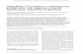 microRNA-133a regulates cardiomyocyte proliferation and ...