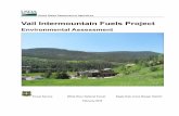 Vail Intermountain Fuels Project EA - fs.usda.gov