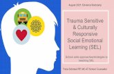 Responsive Social Emotional Learning (SEL)