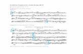 Audition fragments violin Bragi 2019