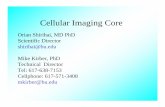 Cellular Imaging Core - bumc.bu.edu