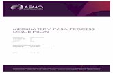 MEDIUM TERM PASA PROCESS DESCRIPTION - AEMO