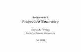 Assignment 3: Projective Geometry