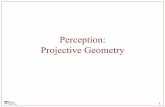 Perception: Projective Geometry