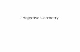 Projective Geometry - Università Ca' Foscari Venezia