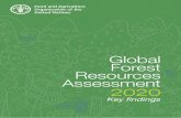 Global Forest Resources Assessment 2020