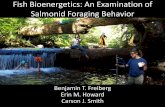 Fish Bioenergetics: An Examination of Salmonid Foraging ...