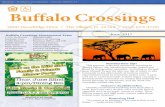 Viewed: 05/15/17 01:04 PM Buffalo Crossings