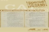 ISSN 1027-2992 CAT I Issue I news N° 11 | WINTER 2017
