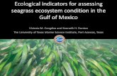 Ecological indicators for assessing seagrass ecosystem ...