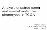 Analysis of paired tumor and normal molecular phenotypes ...