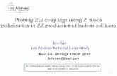 Probing couplings using Z boson Ztt polarization in ZZ ...
