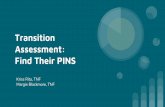 Transition Assessment: Find Their PINS