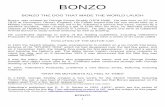 BONZO - rfrajola.com