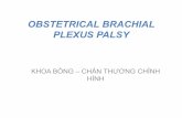 OBSTETRICAL BRACHIAL PLEXUS PALSY