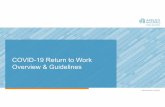 COVID-19 Return to Work Overview & Guidelines